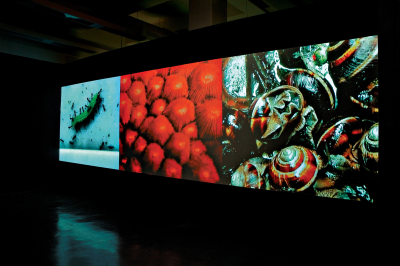 antonio dias, derrotas e vitórias (para bento), 2006