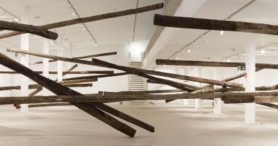 carlito carvalhosa, sala de espera, 2013