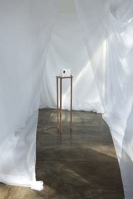 karin lambrecht, cruz elementar, 2009-2012