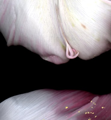 luzia simons, stockage 63, 1996