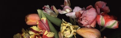 luzia simons, stockage 98, 2011