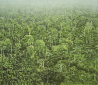 melanie smith, fordlandia v, 2013 / 2014