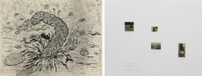 milton machado, o bueiro (o monstro da lagoa), da série desenhos raivosos / aparições ocasionais (o monstro da lagoa), 1976-2013