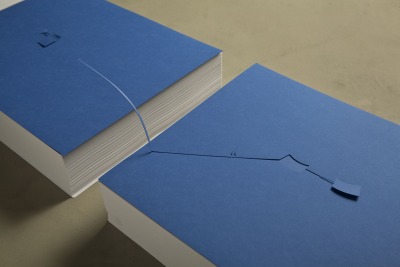 marco maggi, incubadora (detalhe), 2012