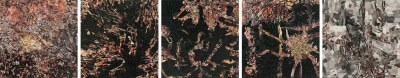 marcelo silveira, paisagem xlvii, 2012