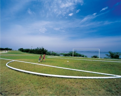 raul mourão, a grande área, 2001