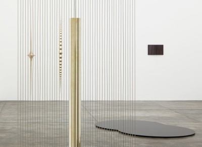 artur lescher, pensamento pantográfico, 2013