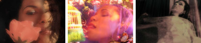 virginia de medeiros, studio butterfly (detalhe), 2006