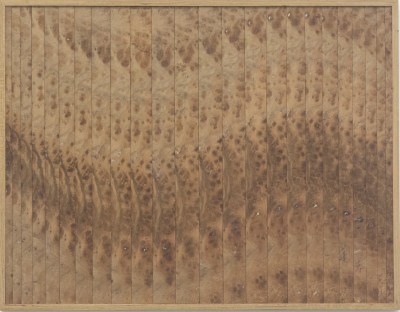 abraham palatnik, sem título, 1970