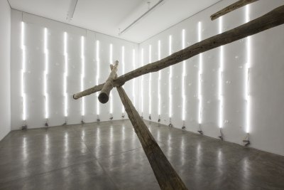 carlito carvalhosa, precaução de contato, 2014