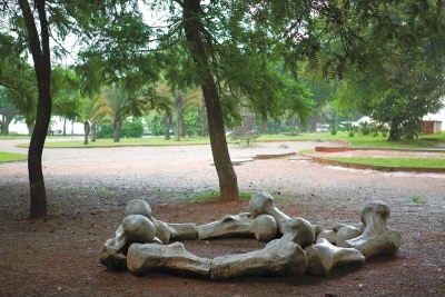 angelo venosa, Sem título, 1997