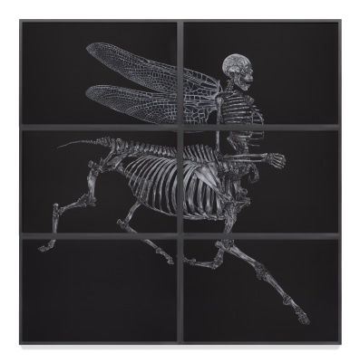 rodolpho parigi, Centauro_Skeleton_Libélulis, 2012