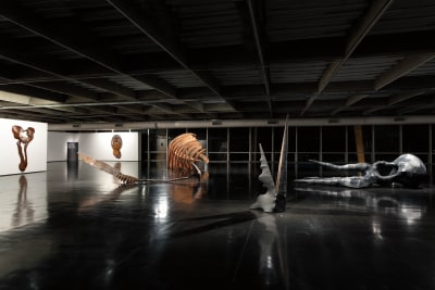 angelo venosa, Panorama | MAM Rioa, 2012