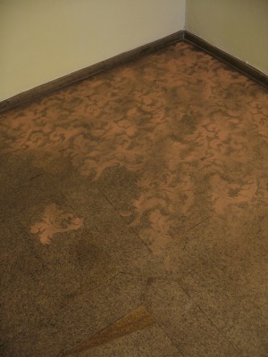 brígida baltar, canto brocado (detail), 2007