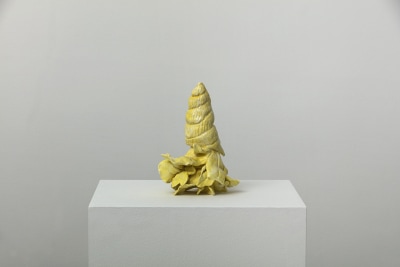 brígida baltar, sob o sol , 2017