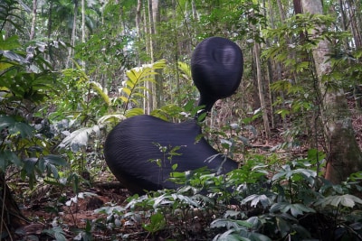 angelo venosa, Ghabaah, 2016