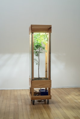 Jaime Lauriano, Nessa terra se plantando tudo dá, 2015
