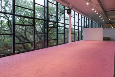 carlos bunga, Habitar el color , 2015–2023