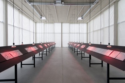 eduardo navarro, into ourselves, 2017