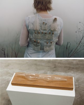 brígida baltar, a coleta da neblina, 2002