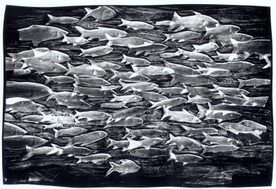 cássio vasconcellos, Paisagens marinhas #03, 1993–94
