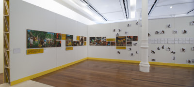 jonathas de andrade, 40 nego bom é um real, 2013