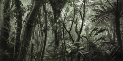 cássio vasconcellos, Viagem pitoresca pelo Brasil #80, 2016
