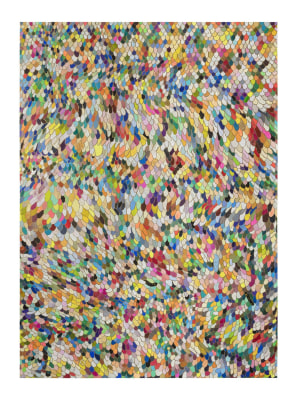 thiago barbalho, feather skin, 2020