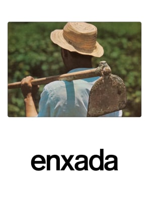 jonathas de andrade, Educação para adultos, 2010