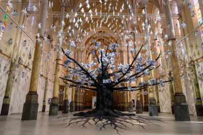 adventice