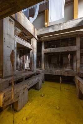 manifesta 15