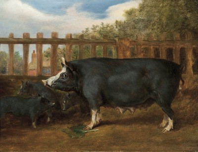 English School (19th Century), A Berkshire sow and piglets