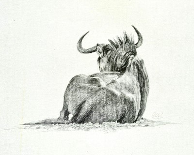 Charlotte J Williams, A Well Earned Rest (Wildebeest)
