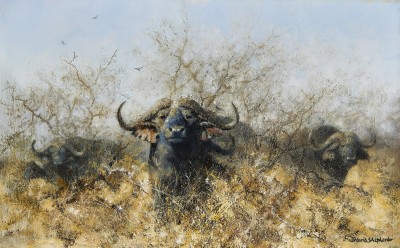 David Shepherd , CBE, Buffalo in the African bush