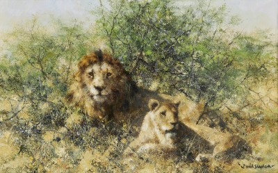 David Shepherd CBE , A Lion and Lioness