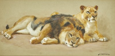 John Charles Dollman , R.W.S., R.I., R.O.I., Lion and lioness