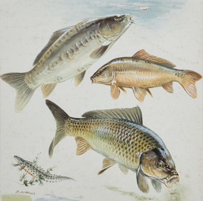 Rodger McPhail , Carp and Newt