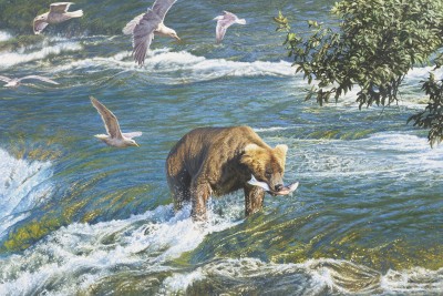 Paul Augustinus , Bear, Alaska