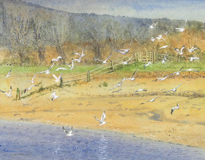 Gordon Rushmer , Wheeling Gulls, Litlington