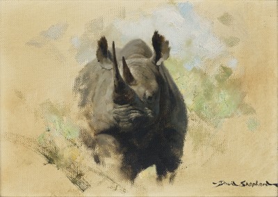 David Shepherd , CBE, Rhino sketch