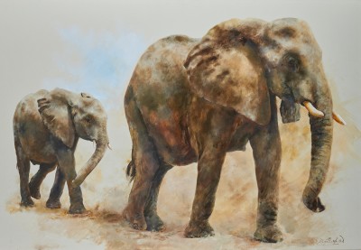 Mandy Shepherd, Mother and calf