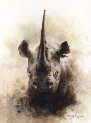 Mandy Shepherd , Rhino