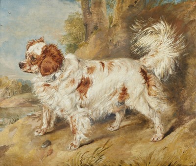 Sir Edwin Landseer , RA, A Blenheim spaniel, Mr Plumer's favourite dog