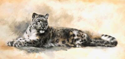 Mandy Shepherd , Snow leopard