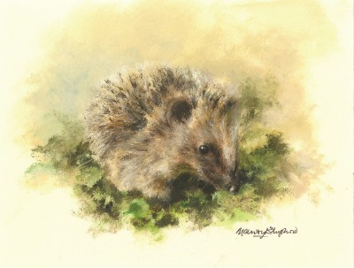 Mandy Shepherd , Hedgehog