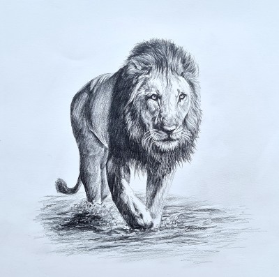 Charlotte J Williams, Testing the Water (Lion)