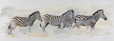 Mandy Shepherd , Zebra crossing