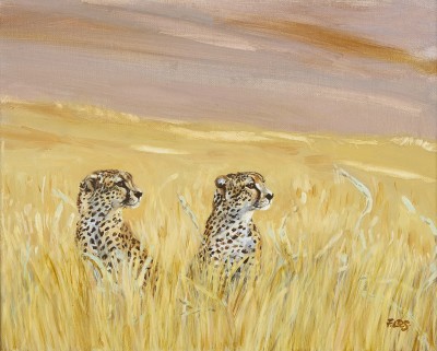 Francesca Sanders, Cheetah brothers at Lewa Wildlife Conservancy