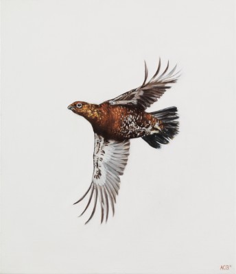 Anna Clare Lees-Buckley , Crosser study