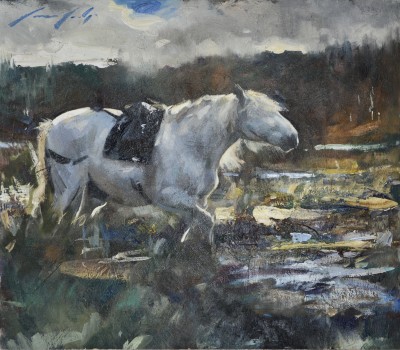 Marcus Hodge , Highland stalking pony